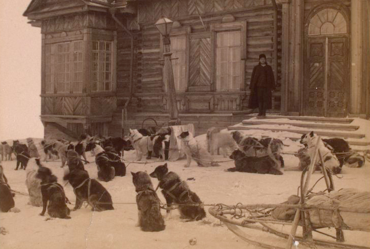 Tým Sachalin Huskies poblíž Nikolaevsk-on-Amur. Pohlednice 1903
