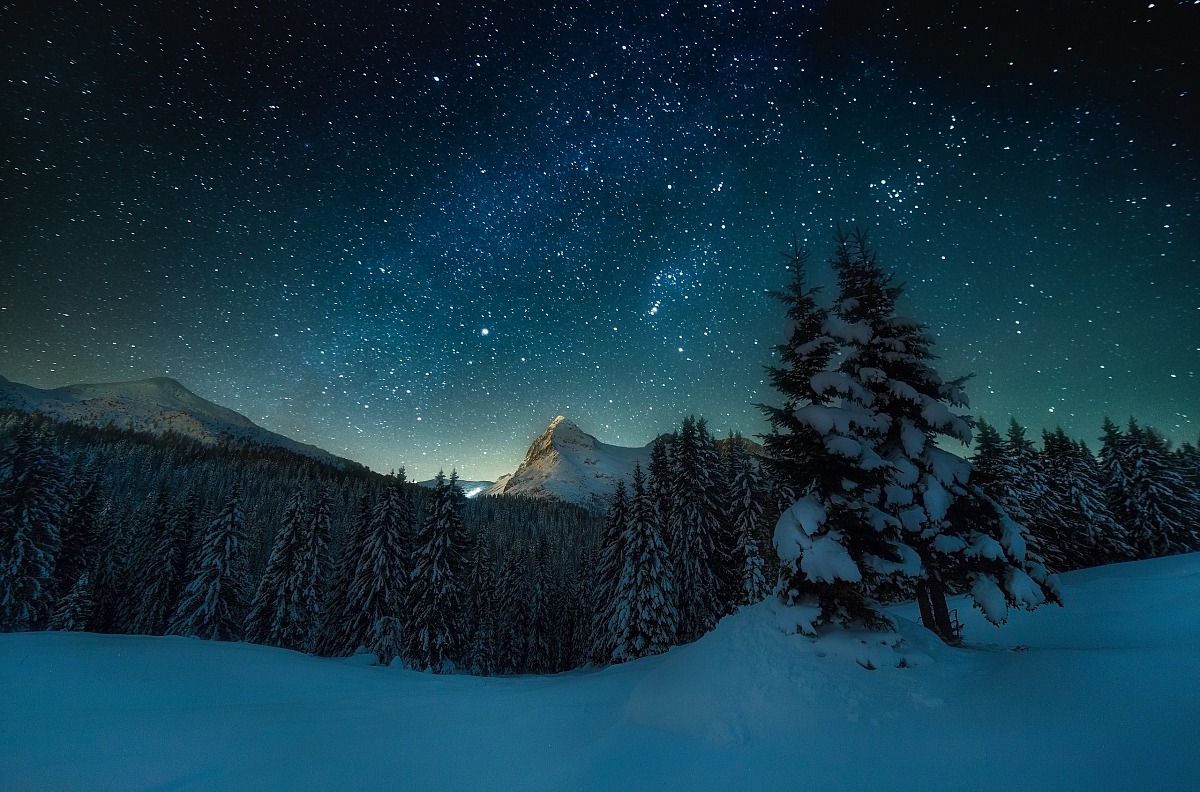 Starry sky, mountains and forest in winter