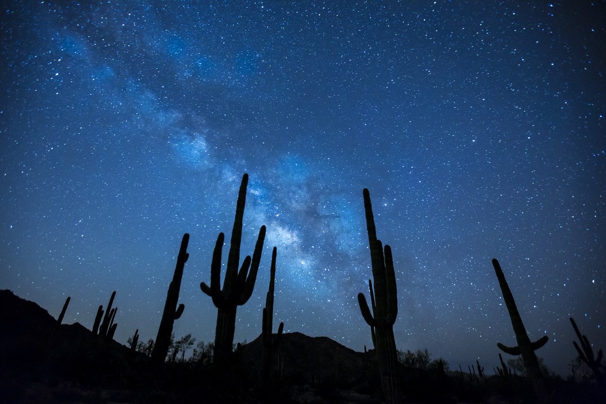 Мексикадан фото: кактустардың үстіндегі жұлдызды аспан
