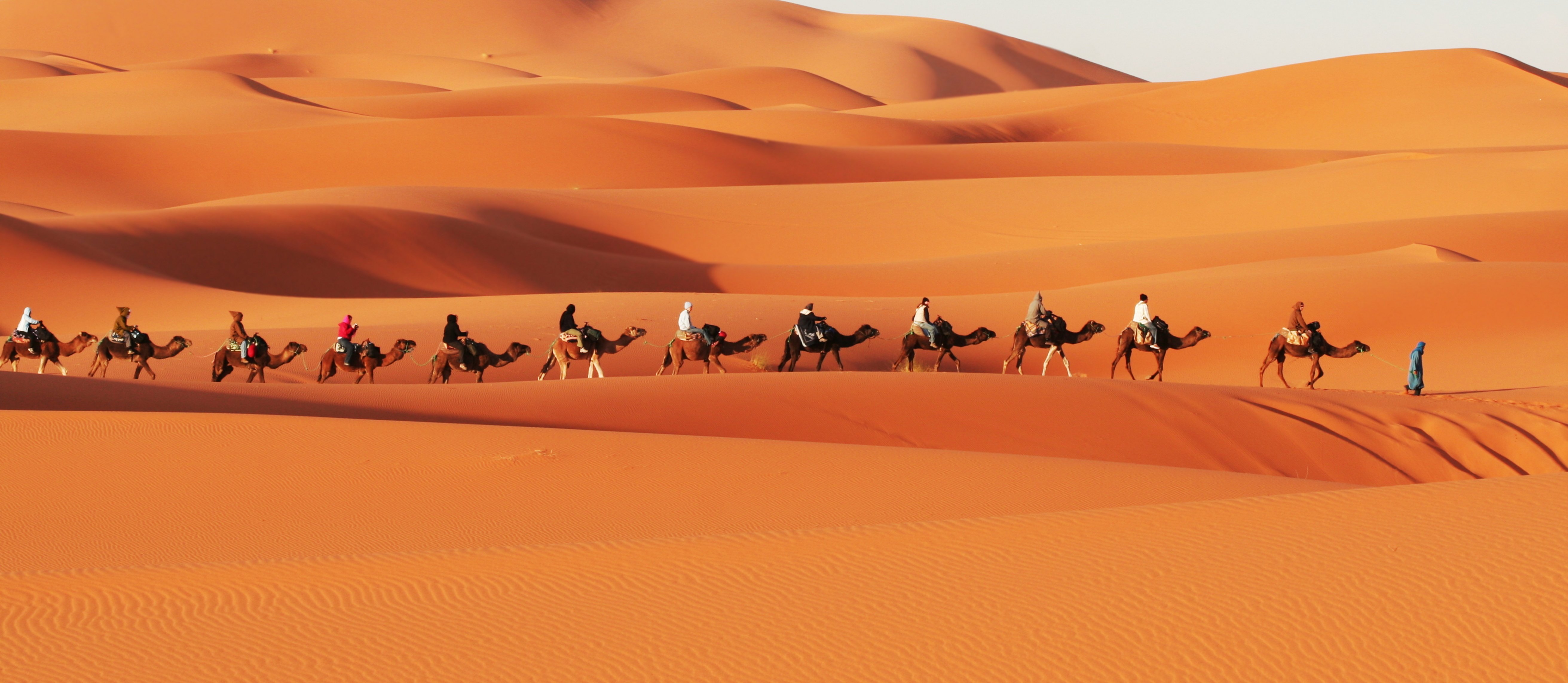 Caravan in the Sahara Desert