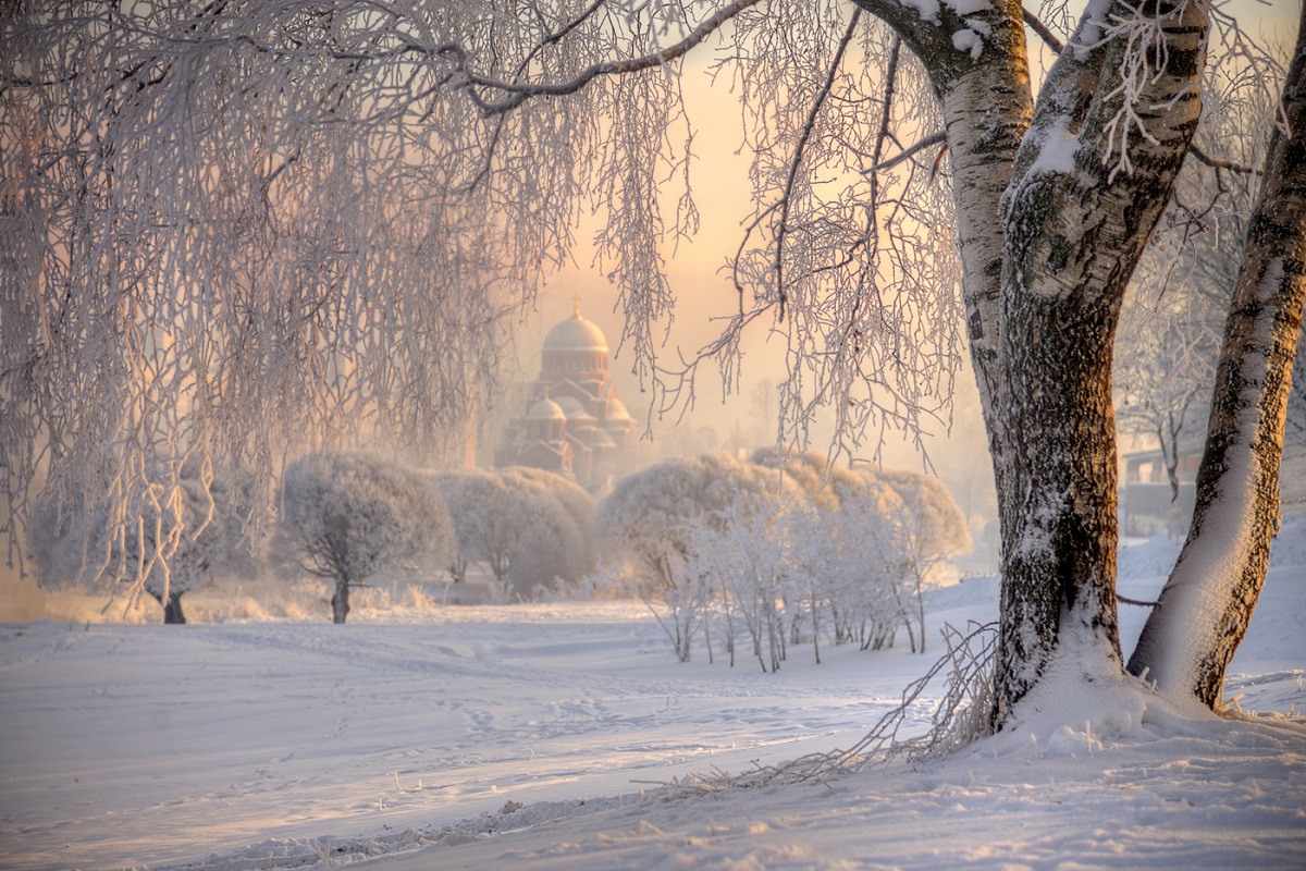 Beautiful photo of winter in St. Petersburg