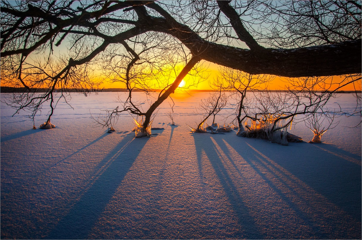 Foto e bukur e dimrit nga Bjellorusia