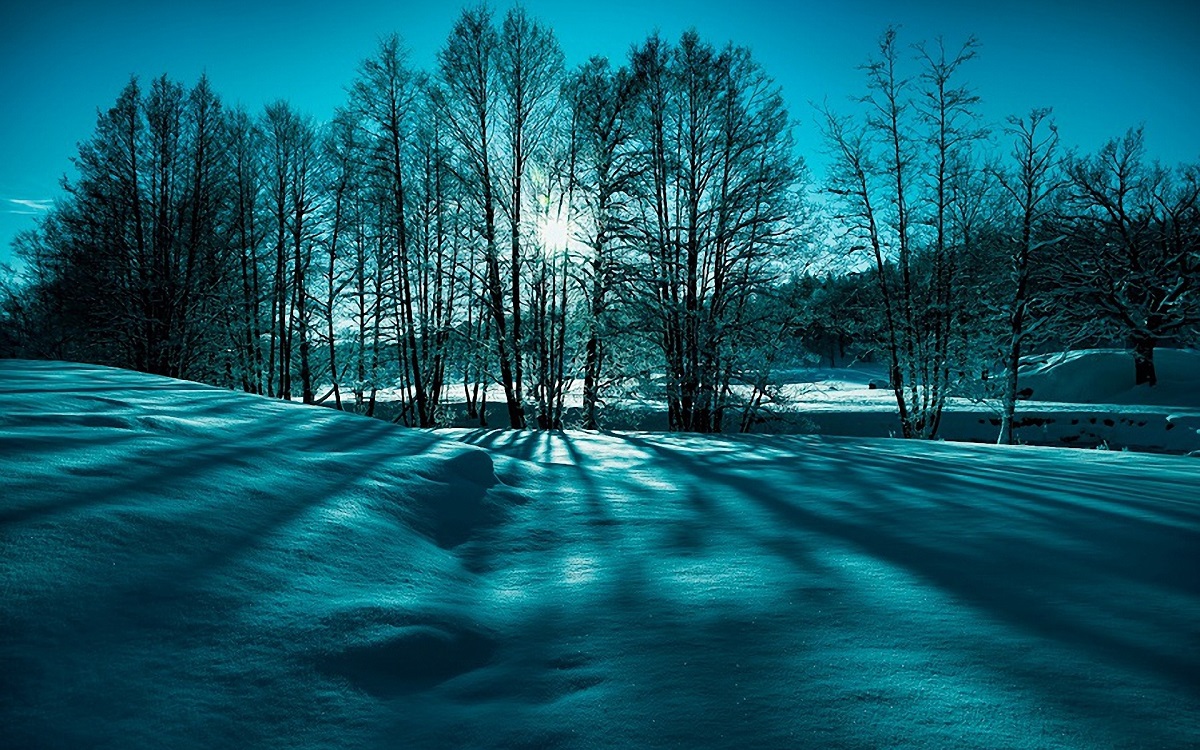 Όμορφη φωτογραφία του χειμώνα: ηλιοβασίλεμα στο χιονισμένο δάσος
