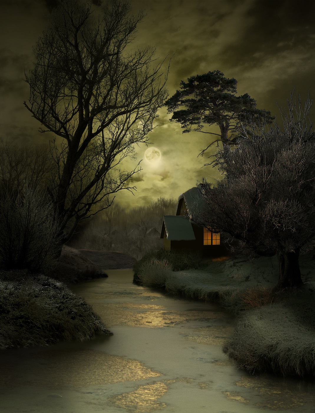 Księżycowa noc zimą nad brzegiem rzeki