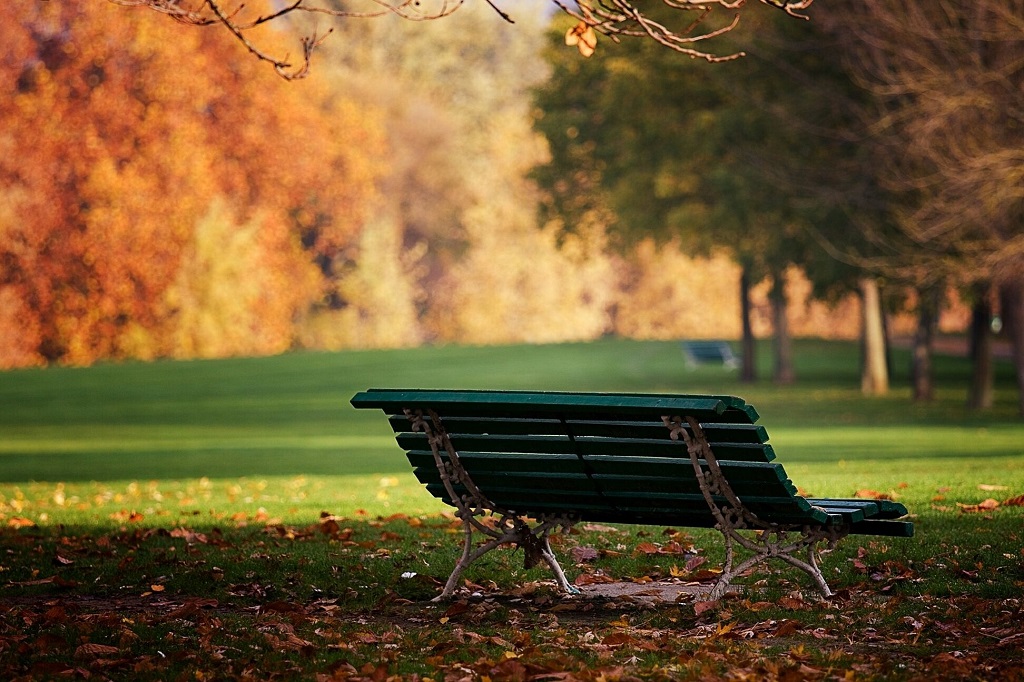 Скамейска в парку під час золотої осені