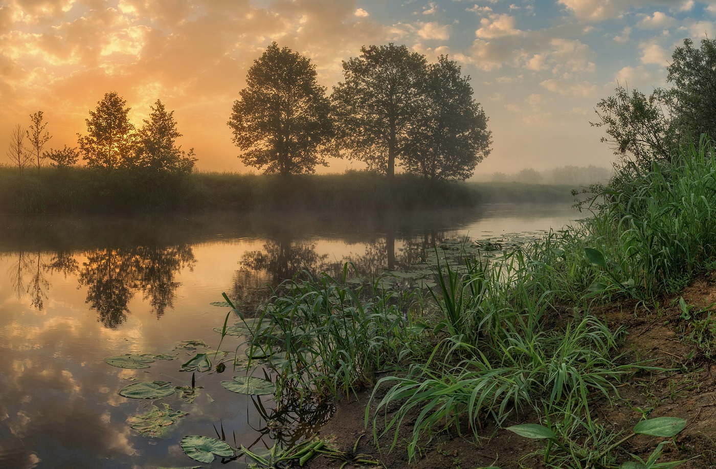 Morning landscape by the river
