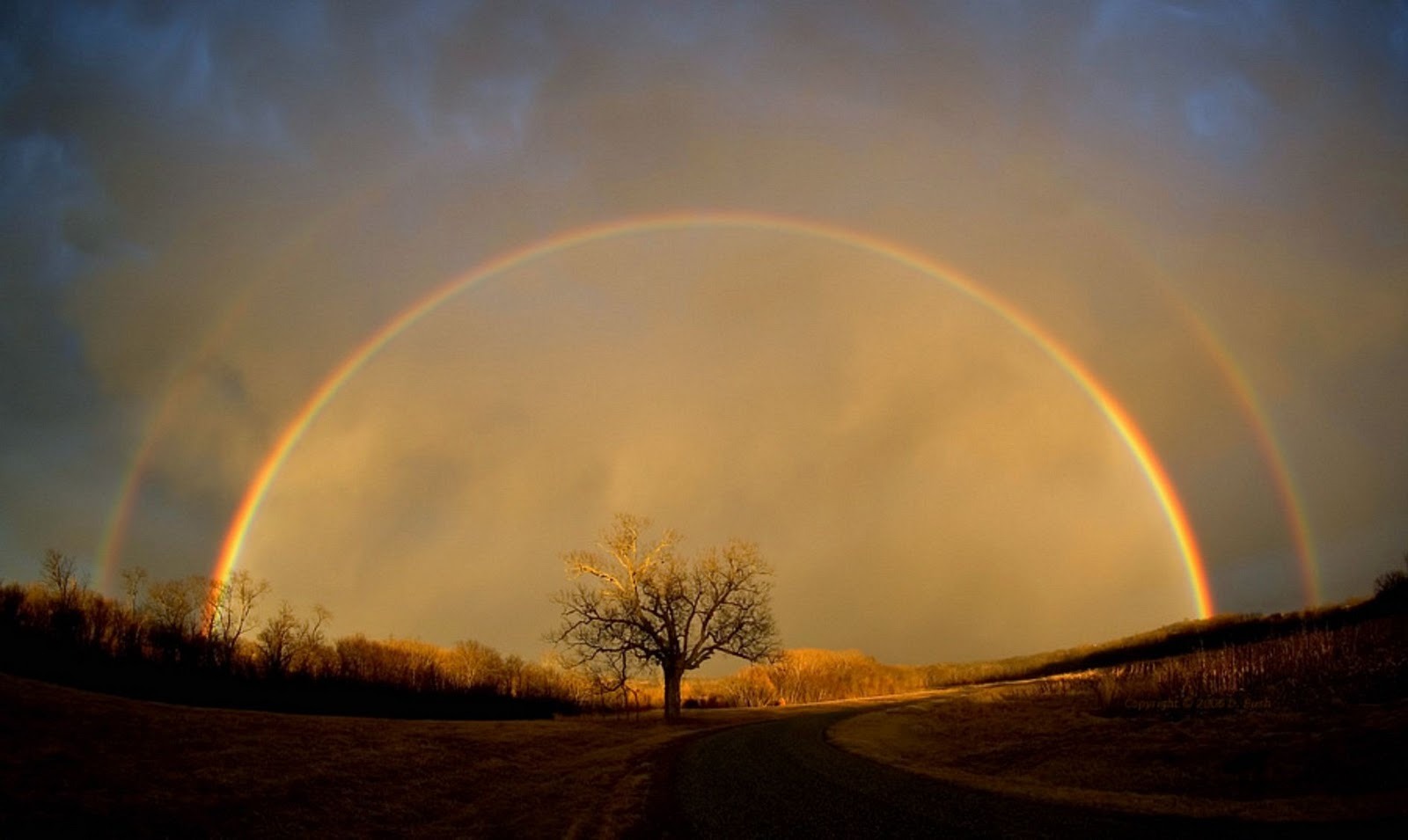 Double rainbow over a lonely tree