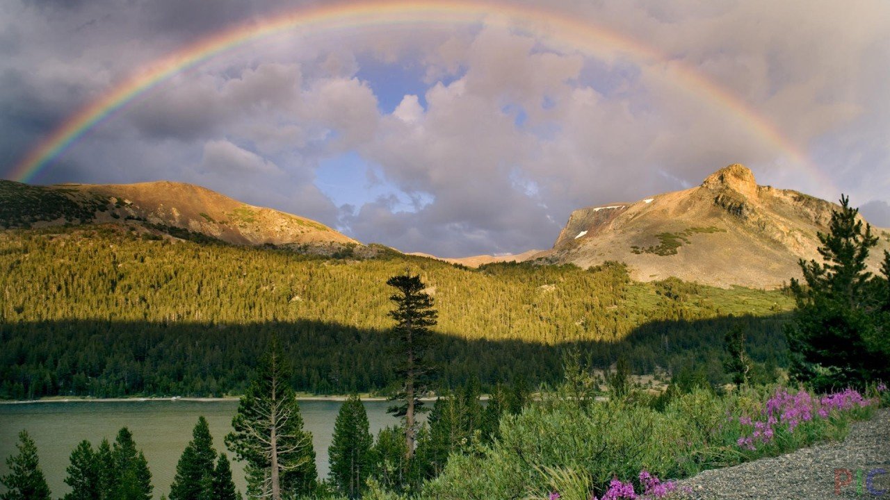 Rainbow over forests and mountains