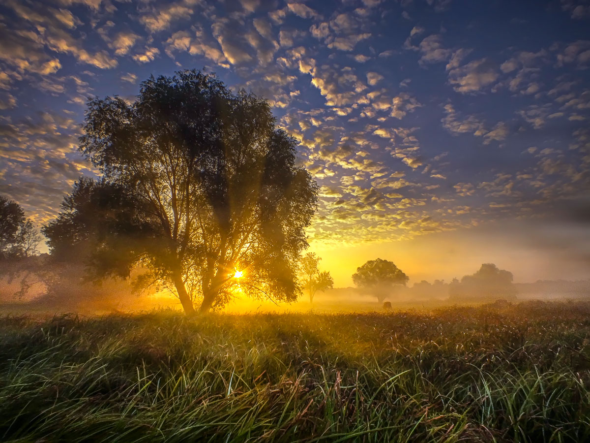 Photo dawn in nature