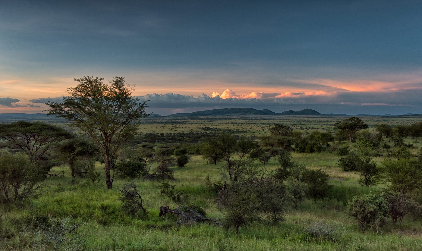 ภาพพระอาทิตย์ตกที่อุทยานแห่งชาติ Serengeti
