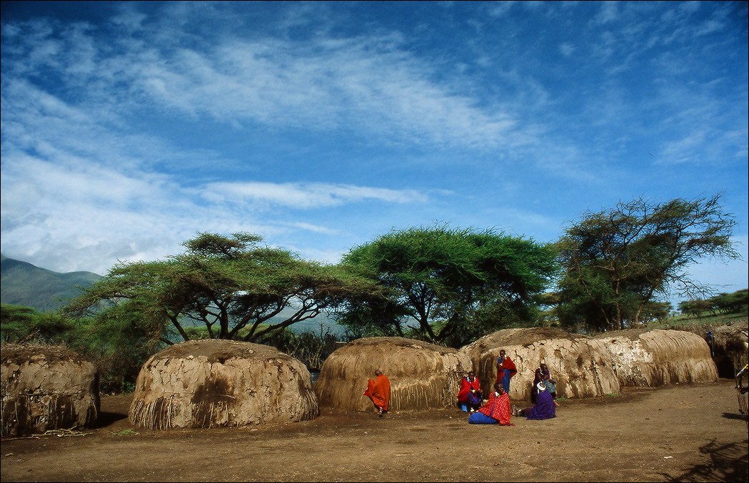 Serengeti parkında Masai kəndi