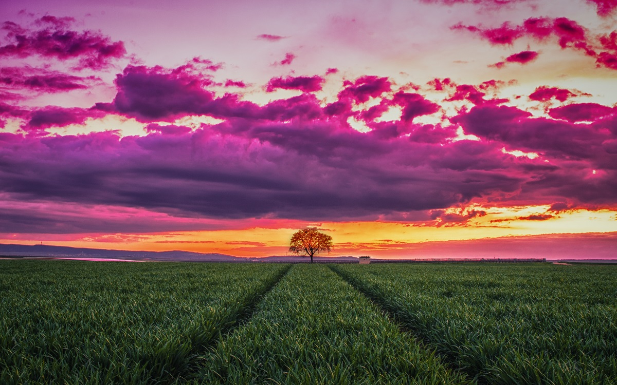 Colorful sunset in the countryside