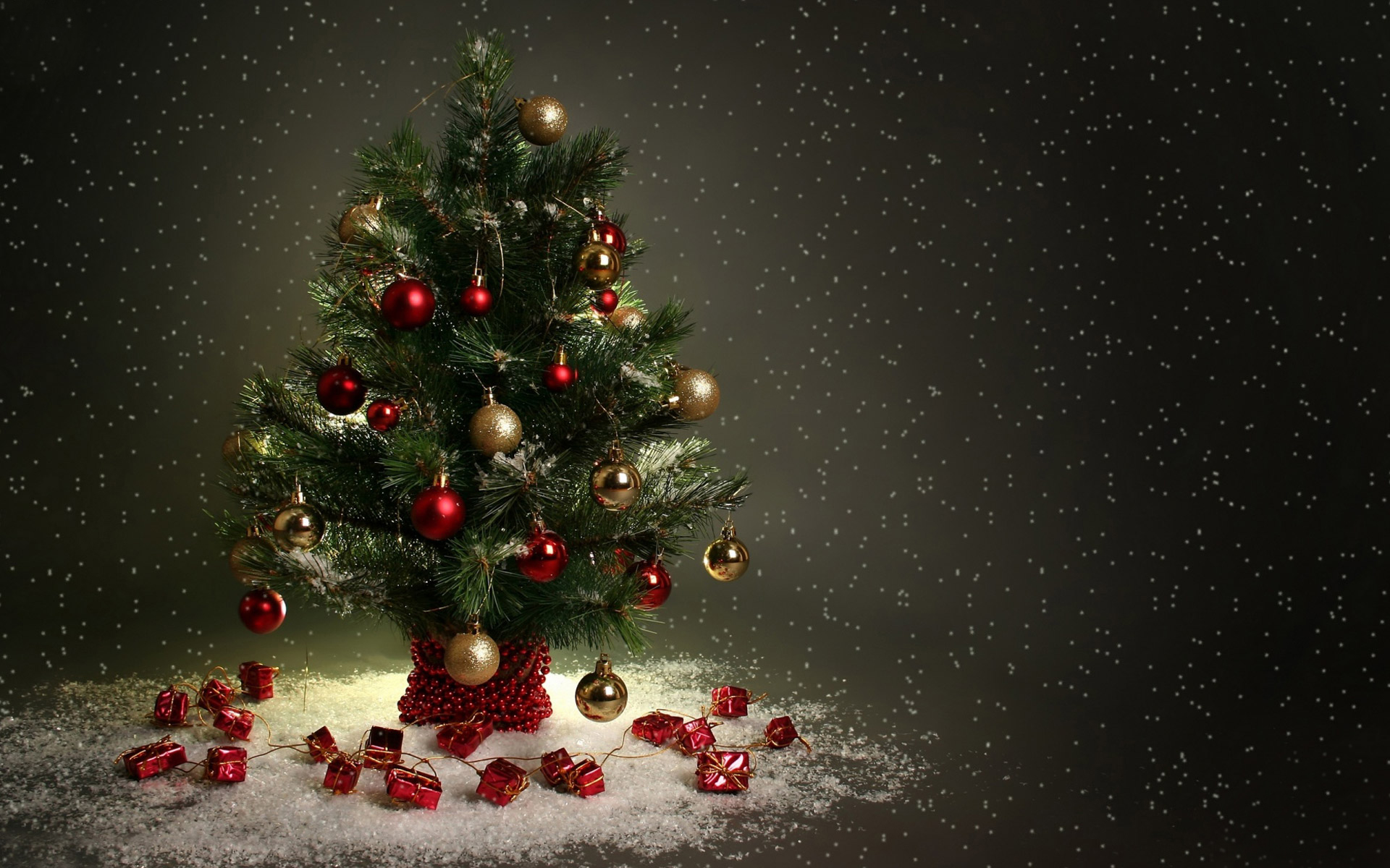 Φωτογραφίες του χριστουγεννιάτικου δέντρου