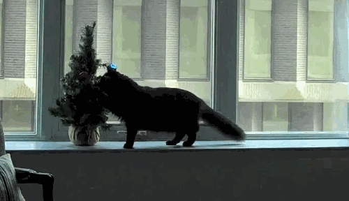 Obrázok GIF: mačka a vianočný stromček