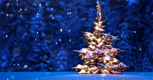GIF nuotrauka: Kalėdų eglutė