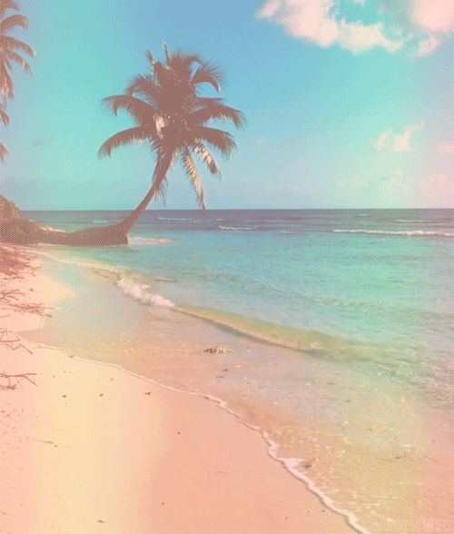 Obraz GIF: palma, morze, plaża