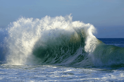 GIF slika: val na moru