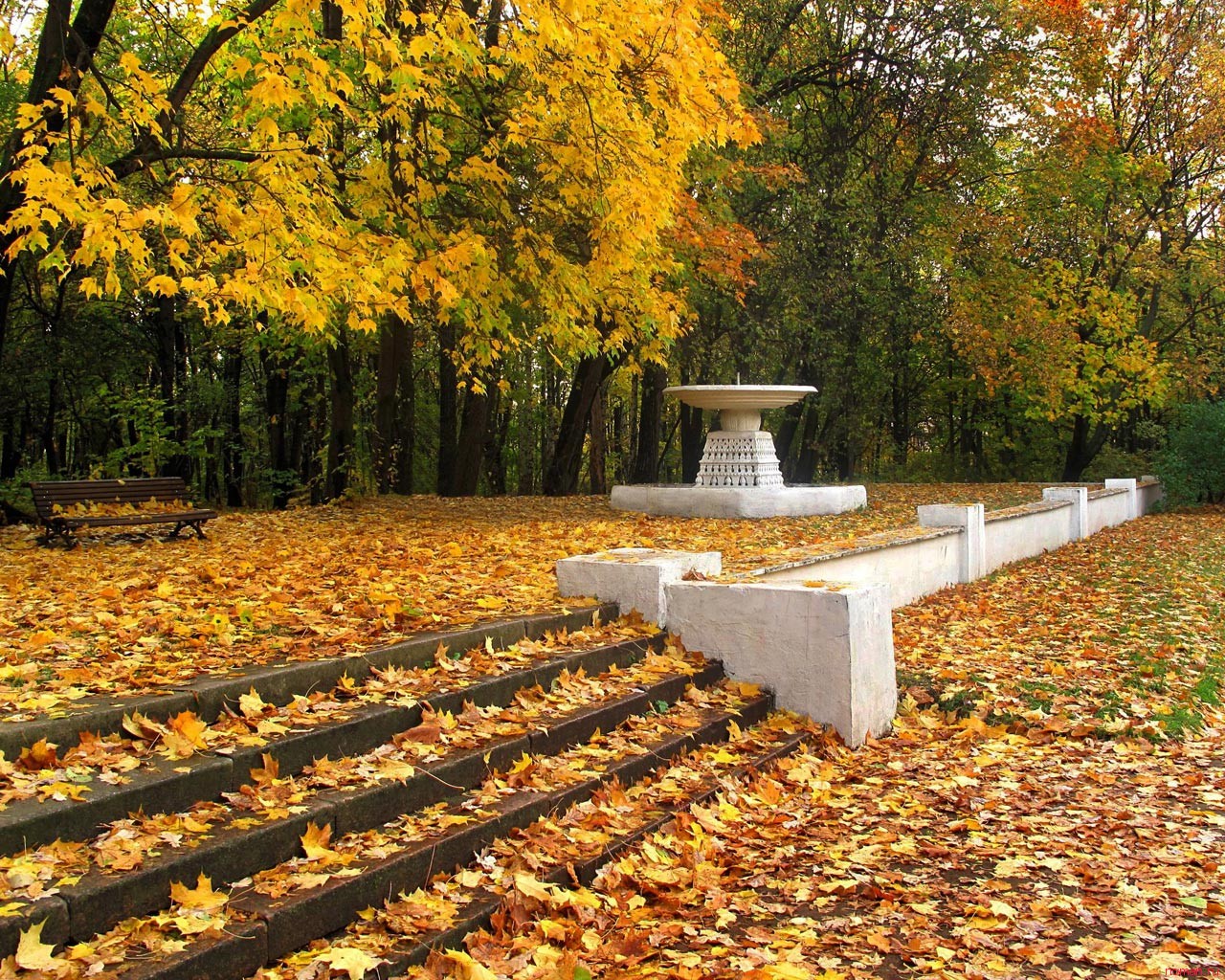 красива есен: парк