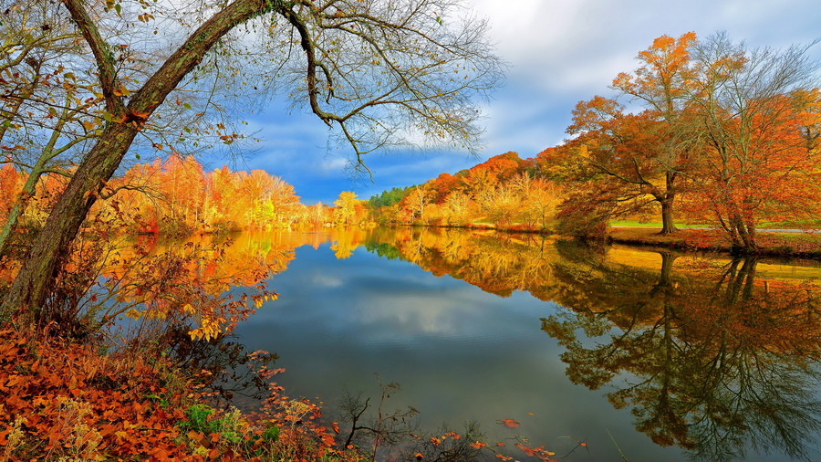 Autumn nature: forest lake