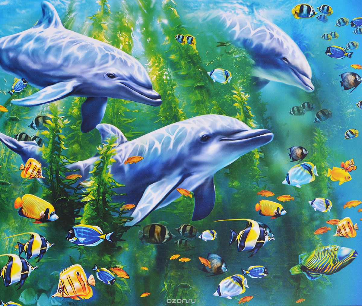 תמונה של דולפינים בים