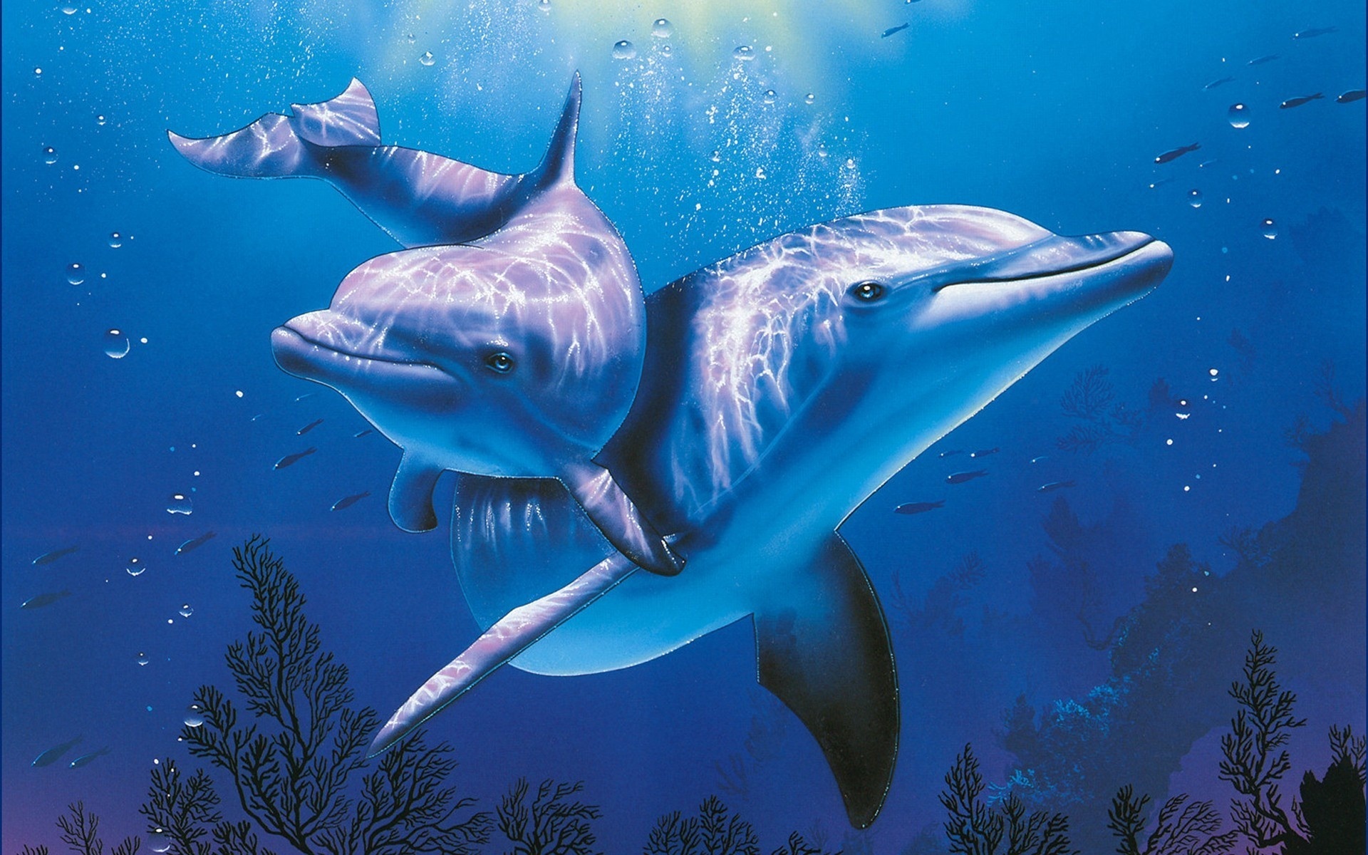 Paveikslėlis delfinų jūroje