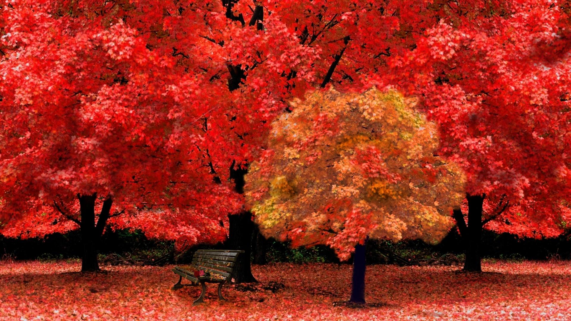 پاییز قرمز