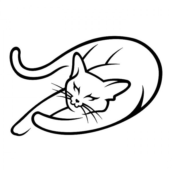 Black and white drawing of a cat