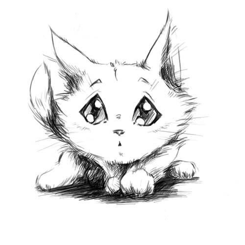 نقاشی سیاه و سفید یک گربه