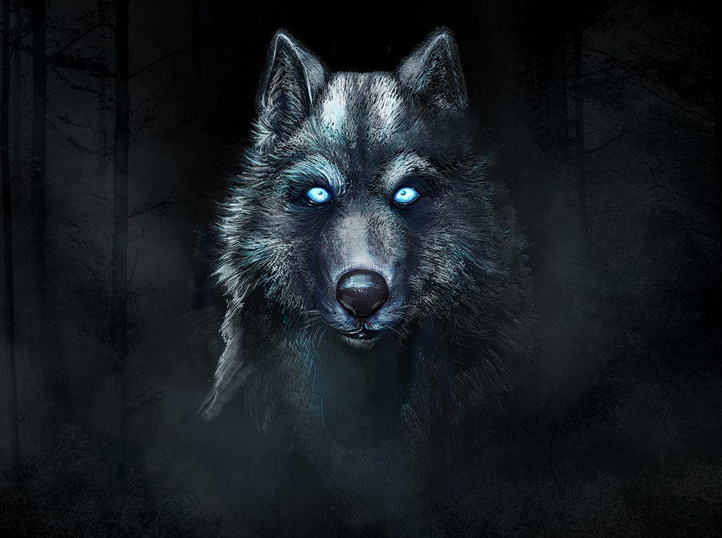 Шүлсний чоно зураг