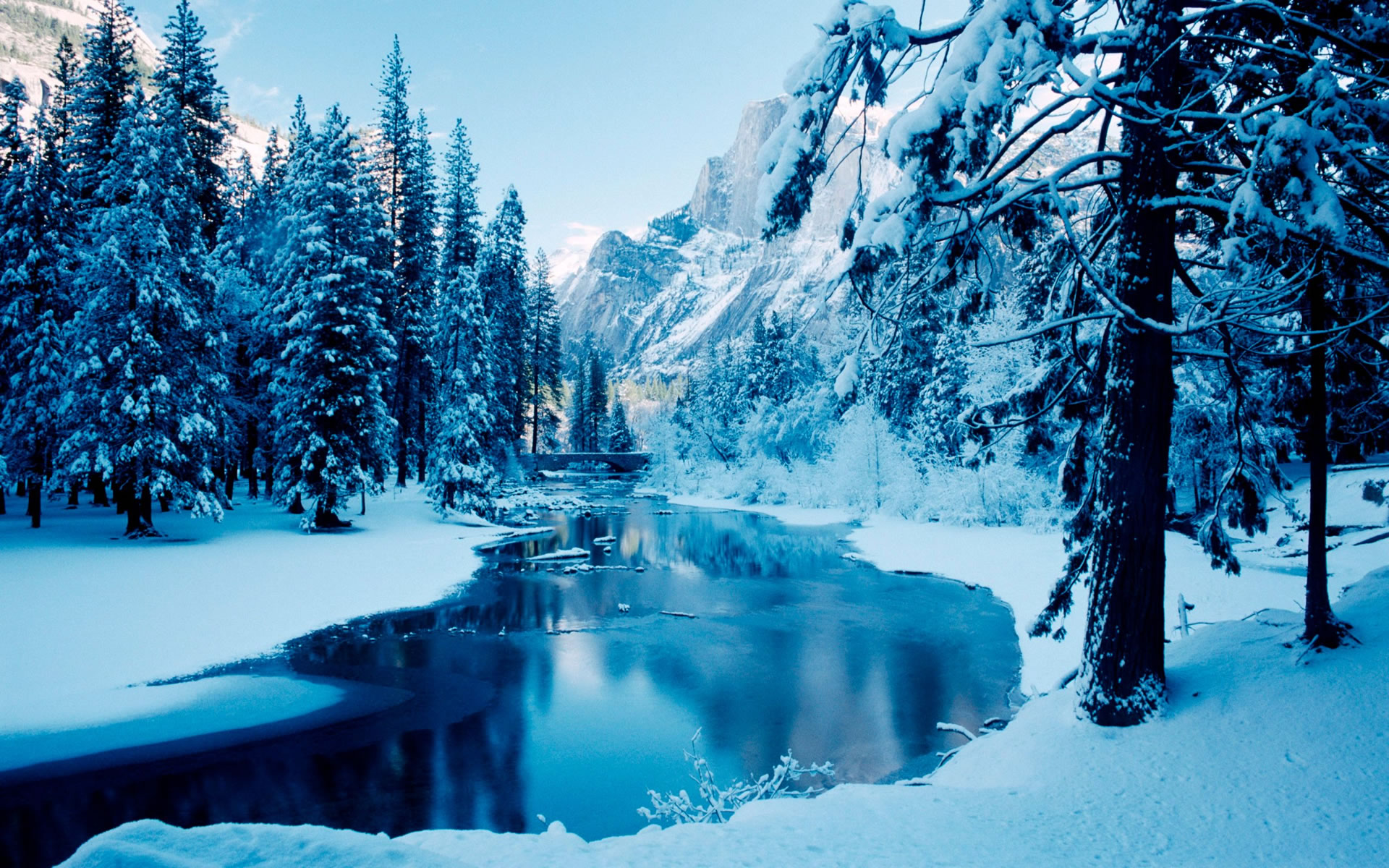 Fotografie zimy: zimní příroda