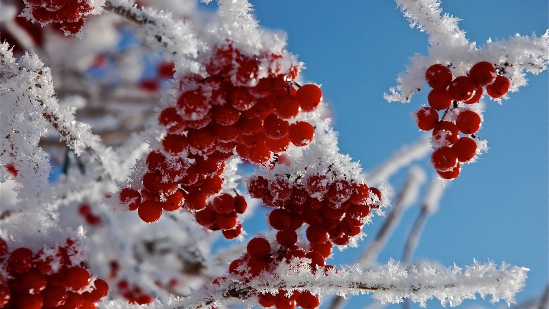 Beautiful photo of winter nature