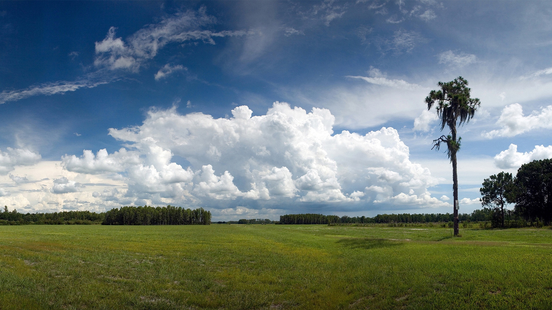 Nature photo in summer: sky and clouds