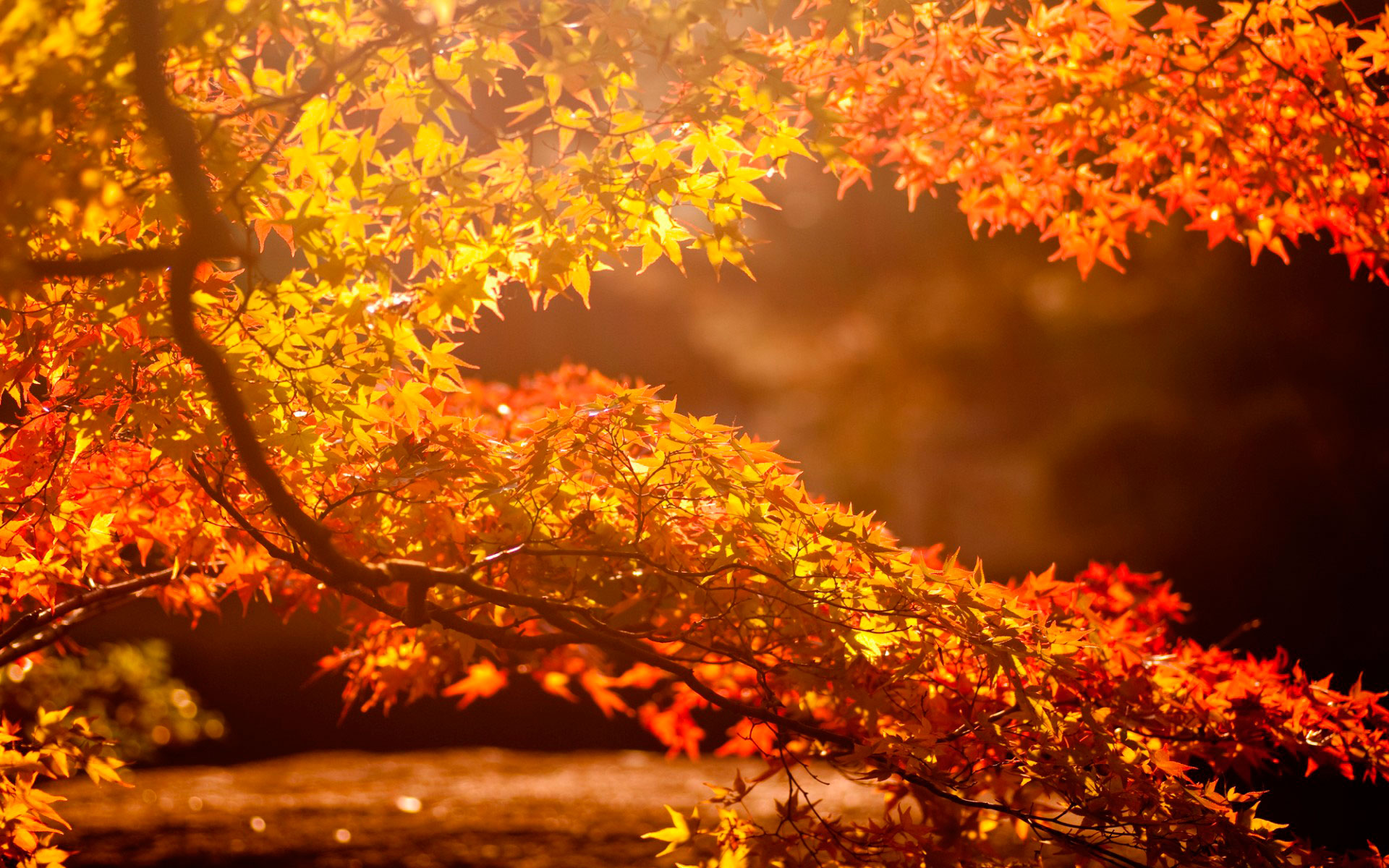 Есенска природа