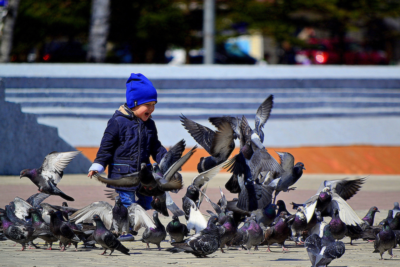 Photo: baby and pigeons