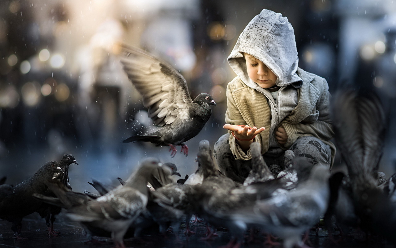 Photo: baby and pigeons
