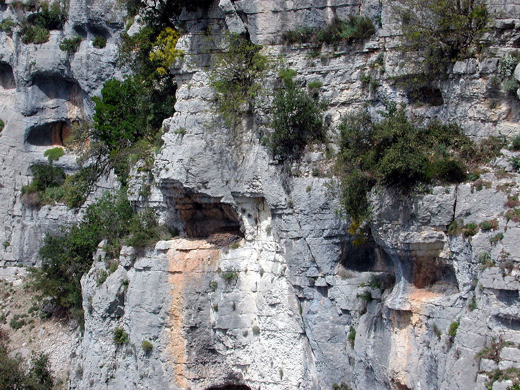 Golden Eagle's Nest on a rocky ledge in the french alps