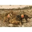 Zdjęcie: Owczarki belgijskie na polu bitwy