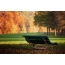 Park bench during golden autumn