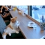 تصاویر GIF با گربه ها