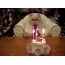 GIF picture with birthday