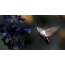 GIF slika leptira