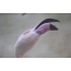 Pink flamingo: a photo of the beak from the bottom angle
