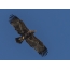 Steppe Eagle in the sky