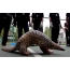 Thai customs and rescued pangolin during a press conference in Bangkok, Thailand