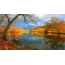 Autumn nature: forest lake