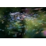 Photos of the web. Glitter cobwebs, backlight