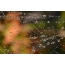 Photos of the web. Drops on the autumn web
