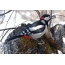 Woodpecker with seed in its beak