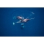 ภาพถ่ายของนาร์วาส์ในน้ำ