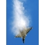 รูปภาพของ Su-35 ดัดแปลงจาก Su-35BM